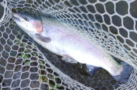 持ち帰りぴったりサイズをキャッチ！ ～フィッシングパーク高島の泉～